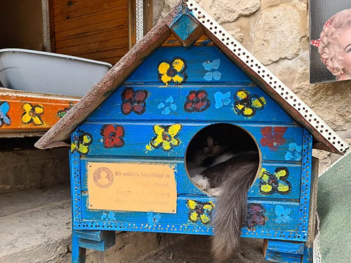 Къщичка за котки на улицата в Мардин, Турция